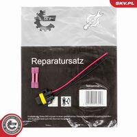 ESEN SKV 53SKV244
