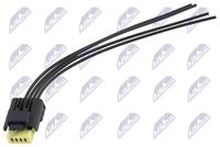 NTY BPP-CT-032