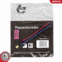 ESEN SKV 53SKV242