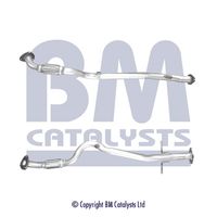 BM CATALYSTS BM50602