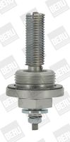 BorgWarner (BERU) GH931