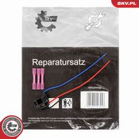 ESEN SKV 53SKV241