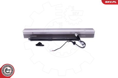 Электромотор, задняя дверь ESEN SKV 52SKV937