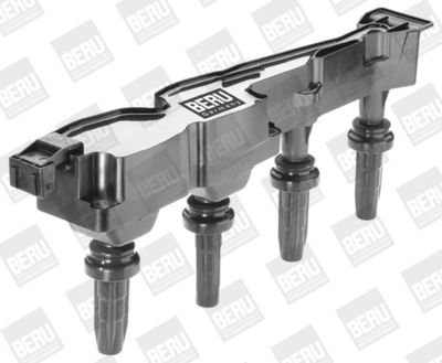Катушка зажигания BorgWarner (BERU) ZS241