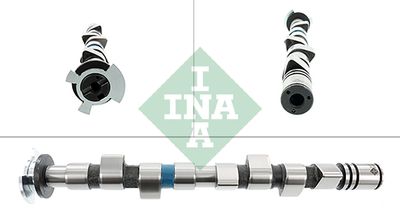 Распредвал Schaeffler INA 428 0166 10