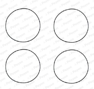 Комплект прокладок, гильза цилиндра PAYEN HR564