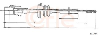 Spidometra trose COFLE 92.S31564