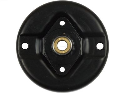 Крышка стартера, карбюратор AS-PL SBR0053