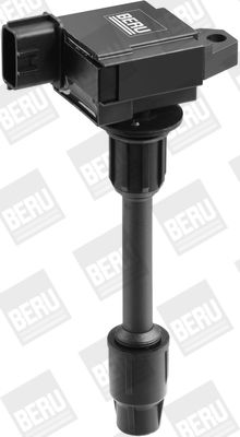 Aizdedzes spole BorgWarner (BERU) ZSE082
