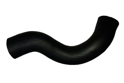 Pūtes sistēmas gaisa caurule BUGIAD 81830