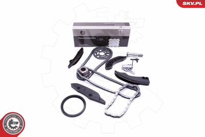 Комплект цели привода распредвала ESEN SKV 21SKV122