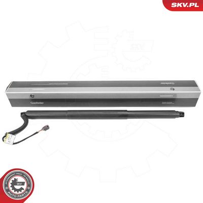 Электромотор, задняя дверь ESEN SKV 52SKV197