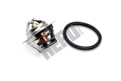 Термостат, охлаждающая жидкость HEPU TM1327