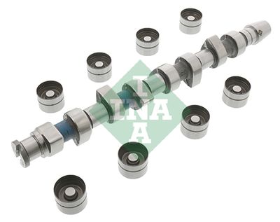 Комплект распредвала Schaeffler INA 428 0048 30