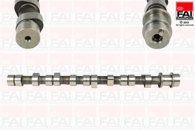 Sadales vārpsta FAI AUTOPARTS C217