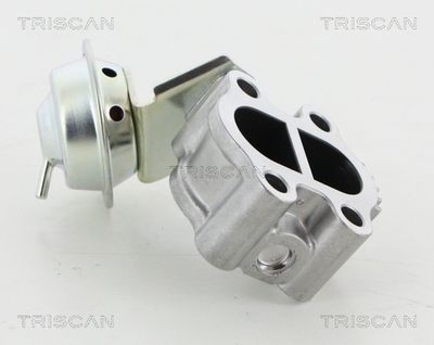 Клапан возврата ОГ TRISCAN 8813 13060