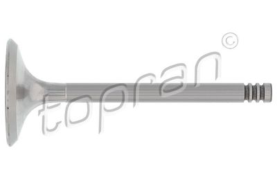 Впускной клапан TOPRAN 100 823