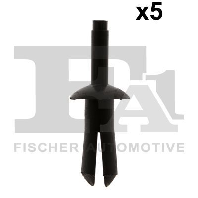 FA1 22200015 Šķeltkniede