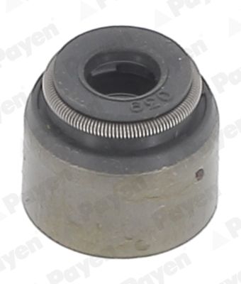 Уплотнительное кольцо, стержень клапана PAYEN PA6055