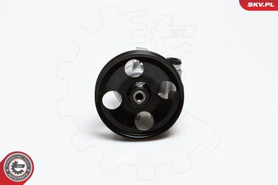 Hidrosūknis, Stūres iekārta ESEN SKV 10SKV168