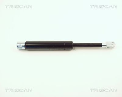 Gāzes atspere, Bagāžas/Kravas nodalījuma vāks TRISCAN 87102312