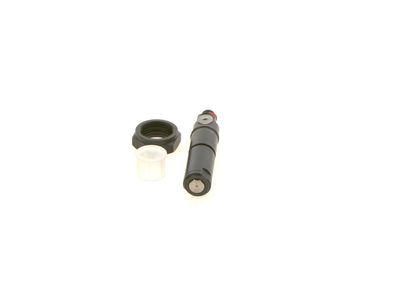 Распылитель BOSCH 0432237006