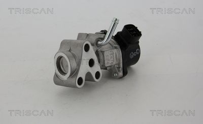 Клапан возврата ОГ TRISCAN 8813 13028