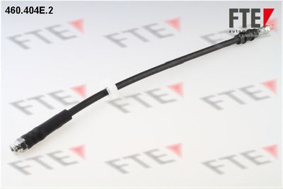 Тормозной шланг FTE 9240284