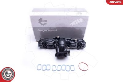 Модуль впускной трубы ESEN SKV 49SKV033