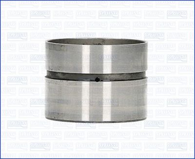 Bīdītājs AJUSA 85016100