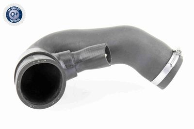 Pūtes sistēmas gaisa caurule VAICO V10-3823