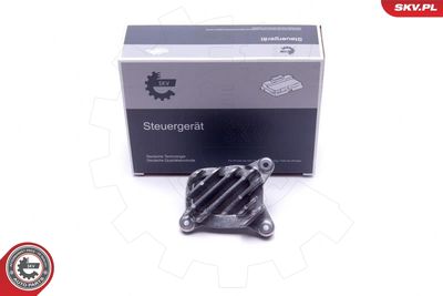 Устройство управления, освещение ESEN SKV 59SKV133