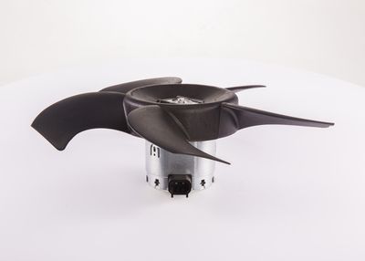 Ventilators, Motora dzesēšanas sistēma BOSCH F006B10441