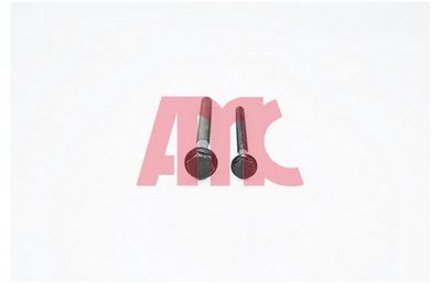 Cilindru galvas skrūvju komplekts AMC 258867