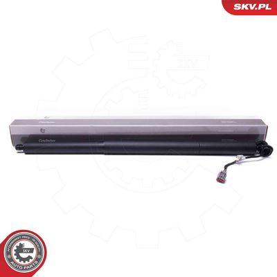 Электромотор, задняя дверь ESEN SKV 52SKV970