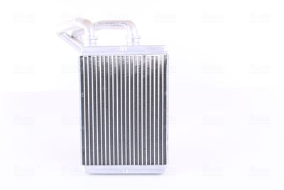 Siltummainis, Salona apsilde NISSENS 707174