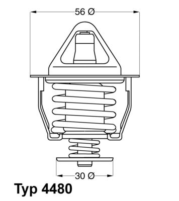 Termostats, Dzesēšanas šķidrums BorgWarner (Wahler) 4480.82D