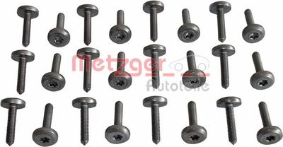 Набор болтов, масляный поддон автоматической коробки передач METZGER 8029027