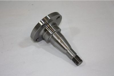 Осевая цапфа, балка моста AUTOMEGA 110178210