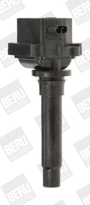Aizdedzes spole BorgWarner (BERU) ZS436