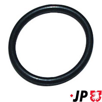 Уплотнительное кольцо, резьбовая пробка маслосливн. отверст. JP GROUP 1213850300