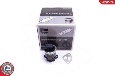 Клапан возврата ОГ ESEN SKV 14SKV210