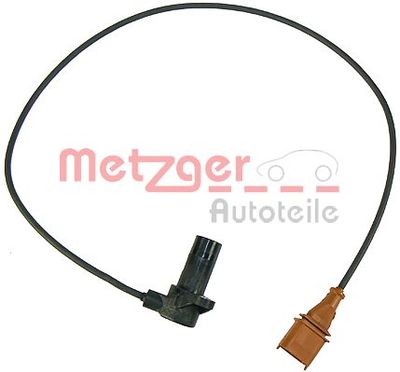  METZGER 0902252