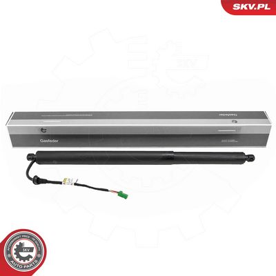 Электромотор, задняя дверь ESEN SKV 52SKV264