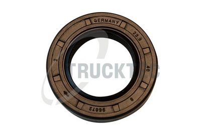 Уплотняющее кольцо, механическая коробка передач TRUCKTEC AUTOMOTIVE 02.43.305