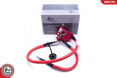 ESEN SKV 96SKV312 Akumulatoru baterijas adapteris