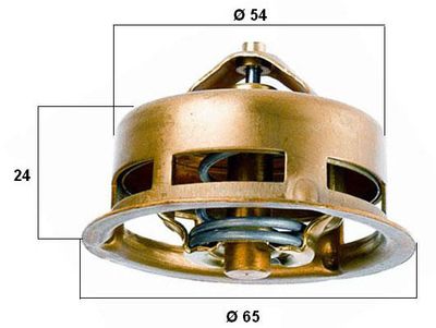 Termostats, Dzesēšanas šķidrums BorgWarner (Wahler) 3096.75