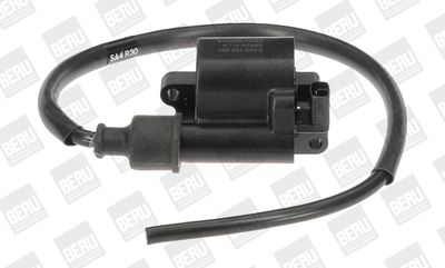 Aizdedzes spole BorgWarner (BERU) ZS524
