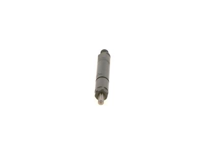Распылитель BOSCH 0 986 430 364