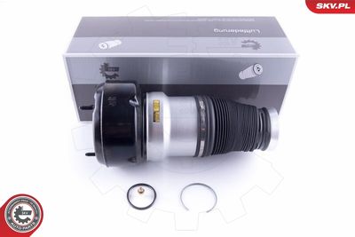 Pneimoatspere, Balstiekārta ESEN SKV 58SKV038